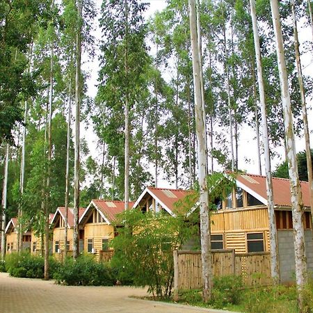 The Great Outdoors Uganda Otel Vumba Dış mekan fotoğraf